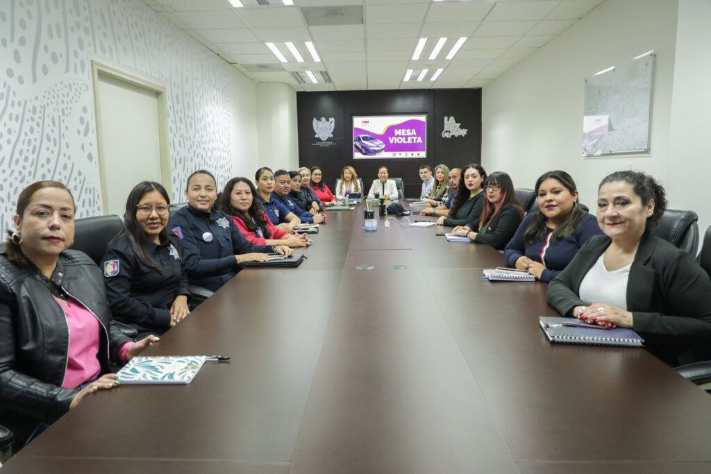 Con el apoyo de estudiantes de Psicología, la Mesa Violeta expande su red comunitaria y fortalece la atención integral en zonas prioritarias.