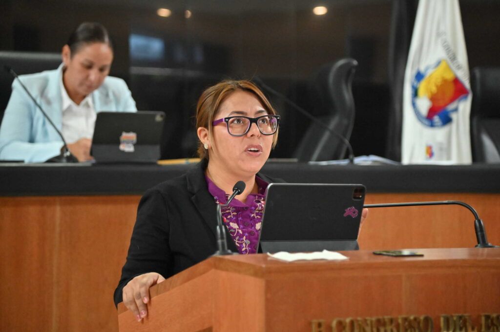 La propuesta incluye garantizar el derecho al acceso seguro a Internet como herramienta de educación, información y esparcimiento.