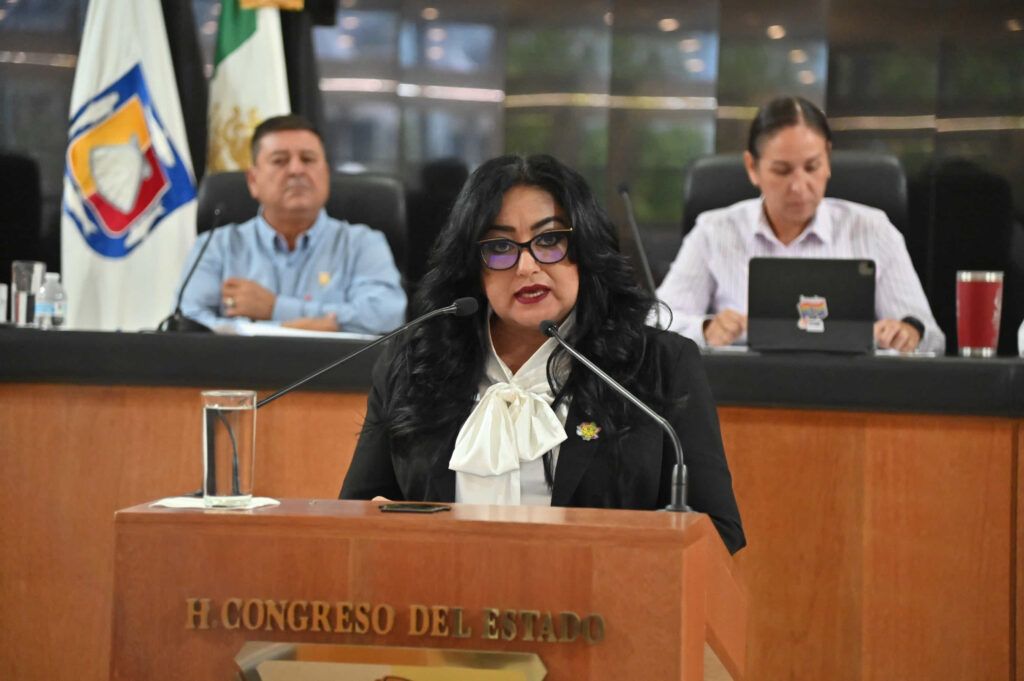 Dalia Collins Mendoza planteó reformas a la Ley Estatal de Inclusión para garantizar placas vehiculares a quienes presenten discapacidad permanente, aun sin contar con licencia o vehículo propio.