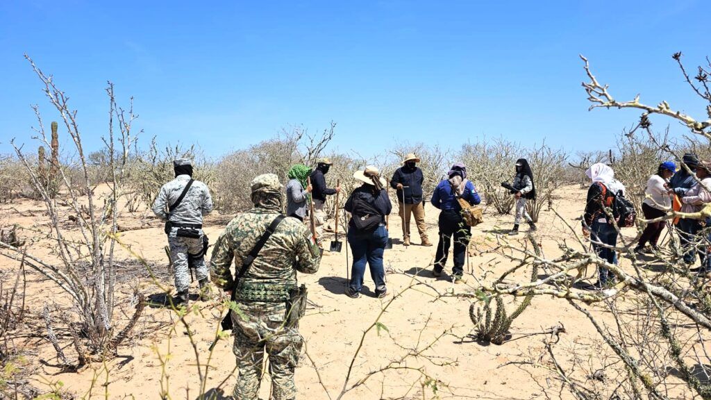 Las jornadas de búsqueda se realizaron en coordinación entre colectivos, familiares y autoridades estatales y federales.
