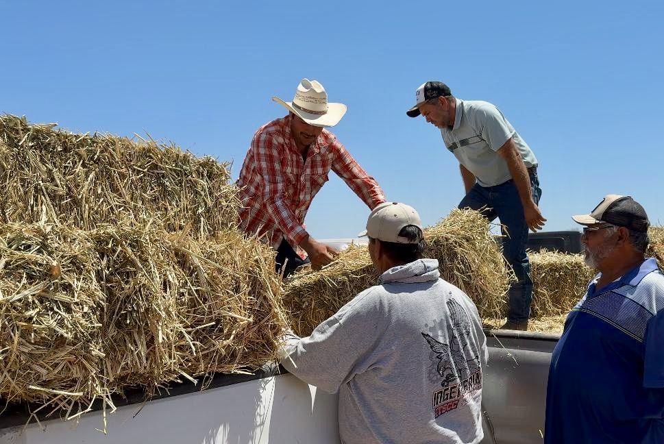 San Luis Gonzaga, Tepentú y La Presa recibieron apoyo con alimento para el ganado.