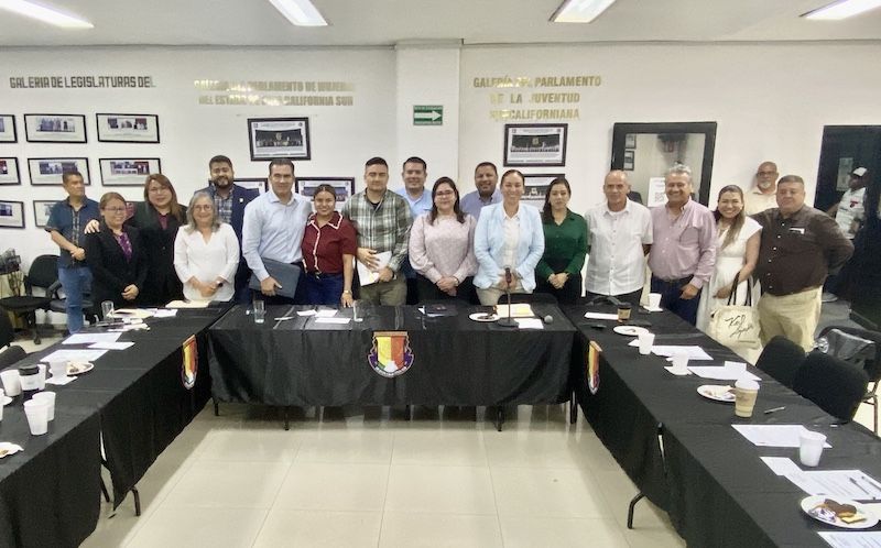 La estrategia consiste en introducir la bacteria Wolbachia en zancudos Aedes aegypti, volviéndolos incapaces de transmitir el virus