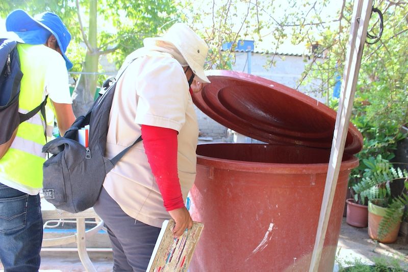 Secretaría de Salud exhorta a mantener patios y depósitos de agua limpios tras las recientes lluvias, como medida preventiva ante el dengue.