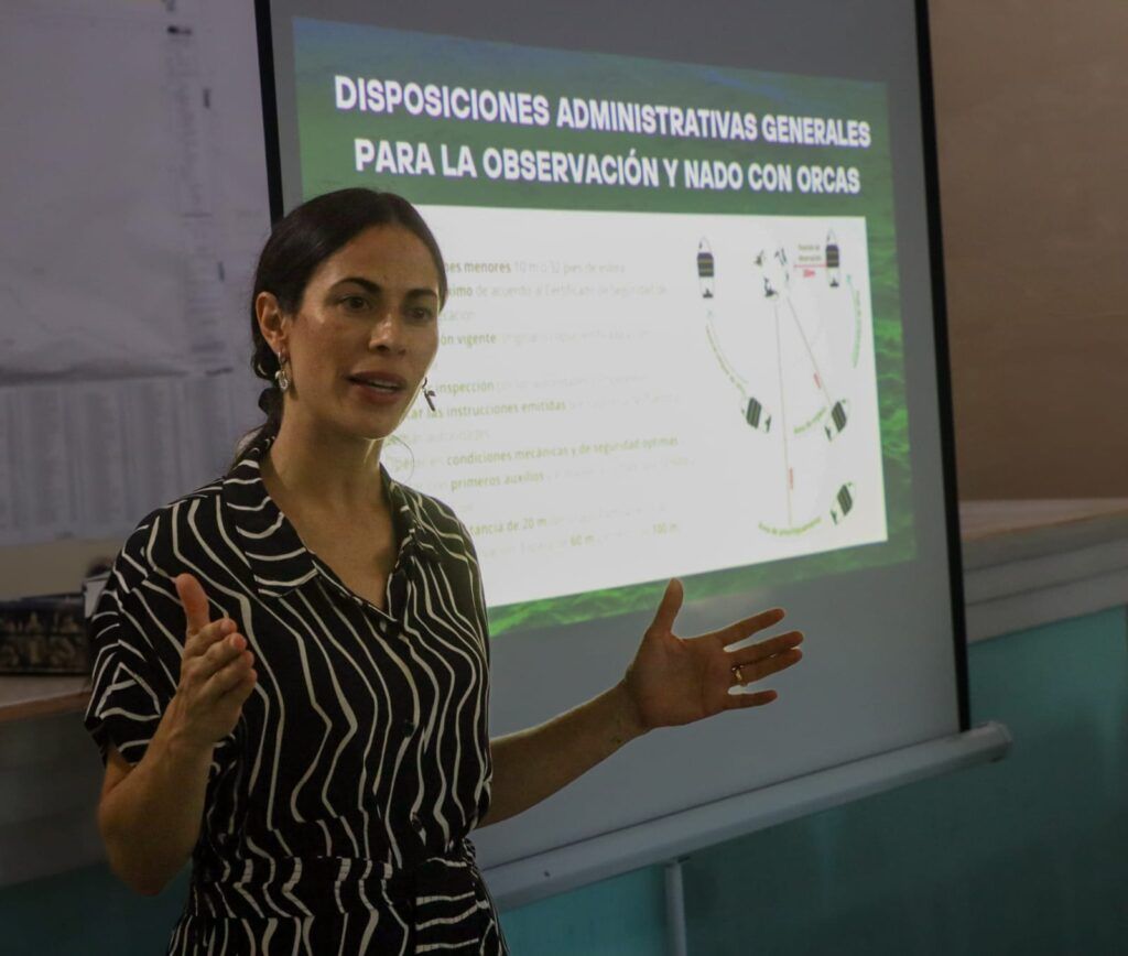 La Paz da inicio a su primera temporada oficial de nado y observación de orcas bajo un plan de manejo que protege la especie y apoya a las comunidades locales.