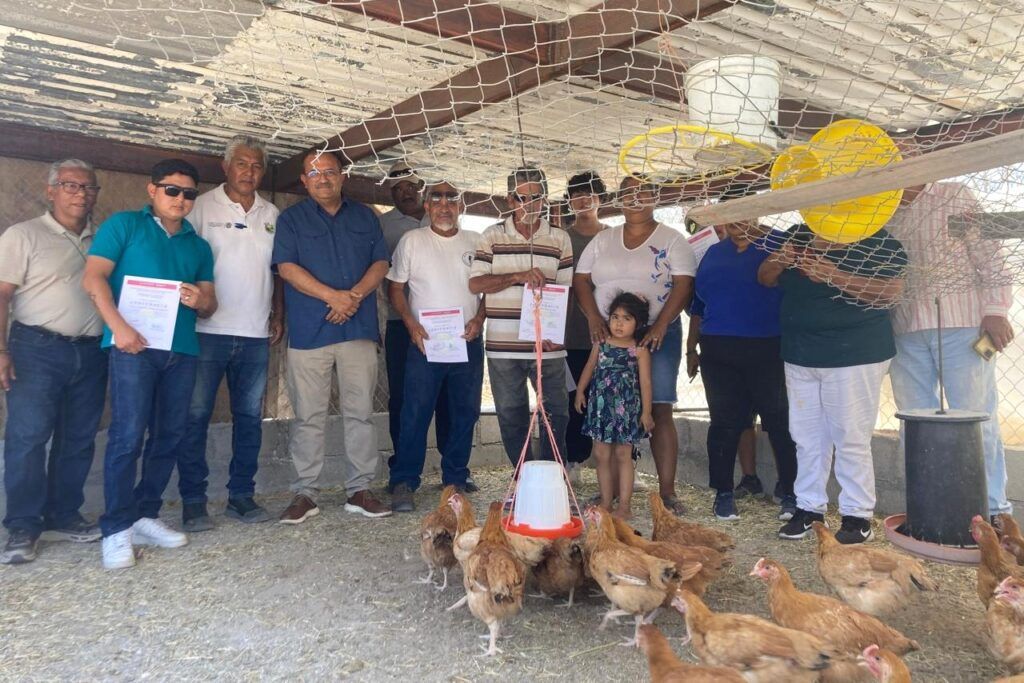 El curso “Pollos de Engorda y de Postura” fortalece la economía local con formación práctica y acompañamiento técnico.