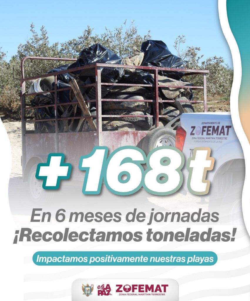 Las limpiezas realizadas en El Tecolote, Balandra y otros puntos reflejan la magnitud del reto ambiental que enfrenta La Paz.
