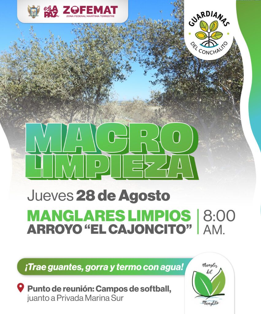 La actividad busca promover la conservación de ecosistemas costeros con la participación de comunidad, colectivos y autoridades