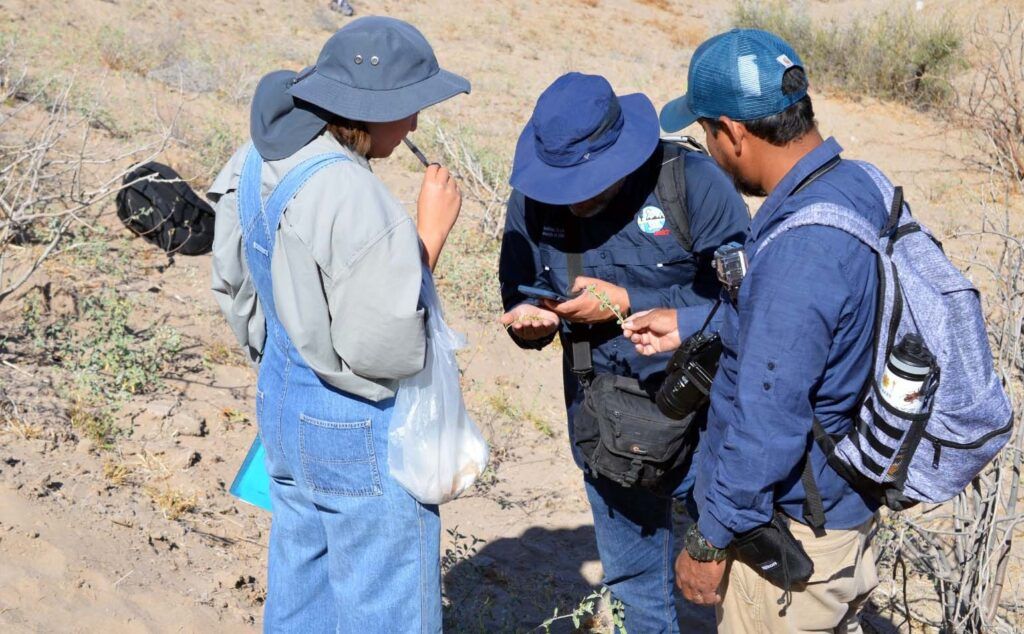 Académicos de la UABCS trabajan para fortalecer identidad cultural y ambiental, e impulsar turismo responsable.