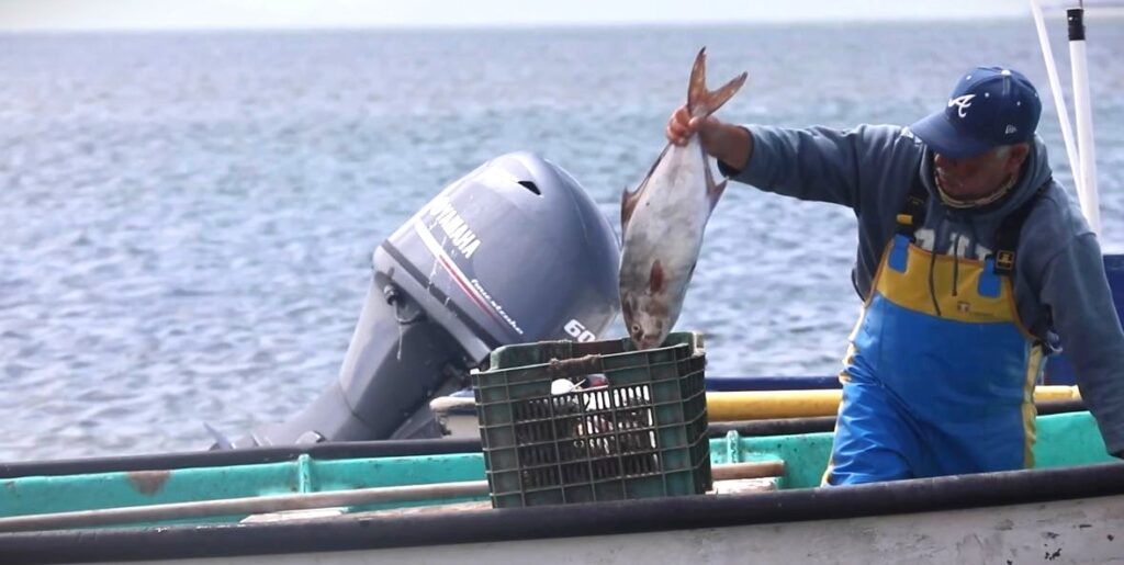 El plan de ordenamiento garantiza certeza para pescadores y acuicultores y fortalece la economía familiar en comunidades costeras
