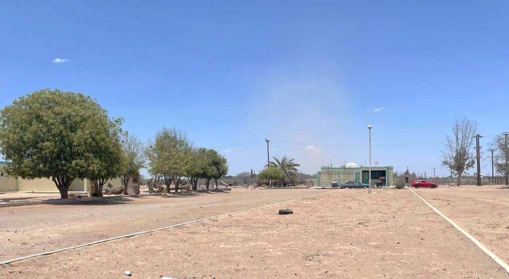 Con apoyo inicial de $150 mil del COSCYT, se producirán organismos para bajar costos y garantizar inocuidad en cultivos.