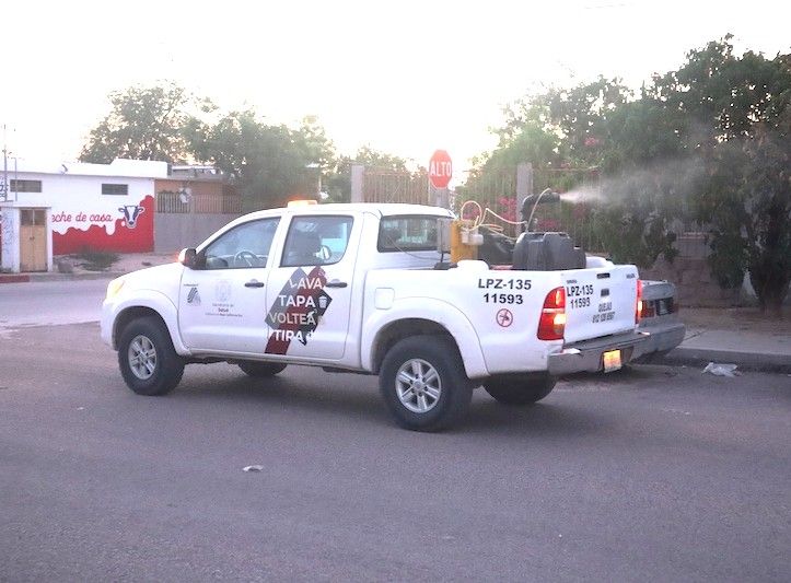 Salud estatal prioriza zonas con mayor incidencia y despliega brigadas para cortar el ciclo del mosco transmisor del degue