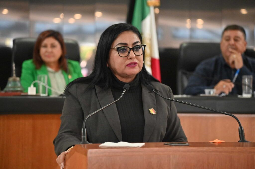 La propuesta de Dalia Verónica Collins busca garantizar servicio y acceso con dispositivos médicos, ortopédicos y tecnológicos y con animales de asistencia.