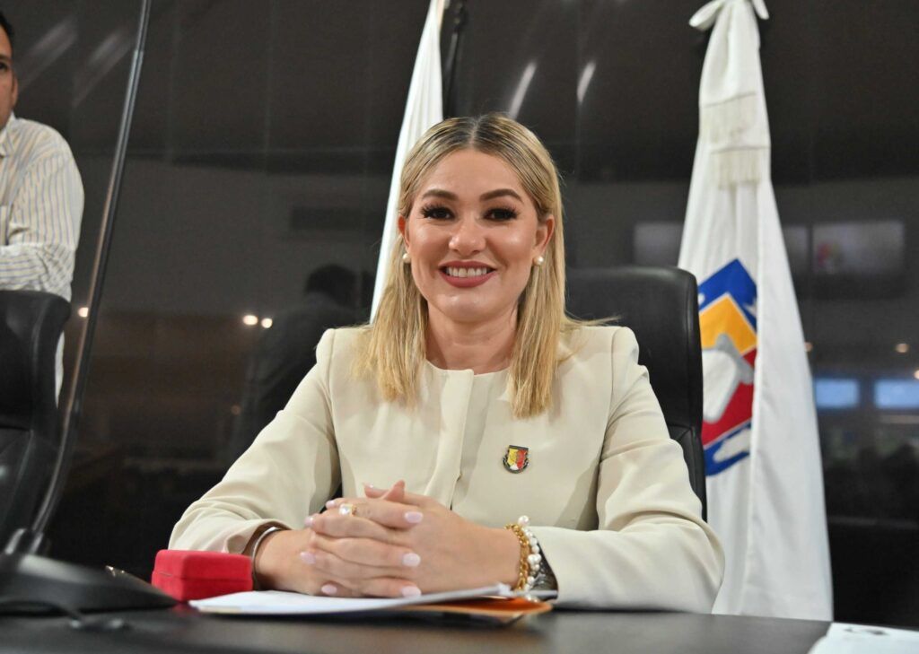 La propuesta de Karina Olivas refuerza registro, licencia y capacitación anual obligatoria y fija sanciones por operar sin permiso para proteger a usuarios y patrimonio.