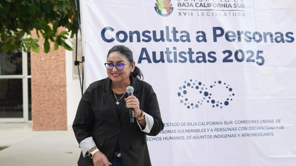 Comisiones permanentes realizan etapa deliberativa con mesas de salud, educación, trabajo y previsión social y recogen propuestas de la comunidad autista y sus familias.