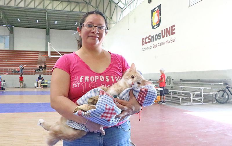 La Secretaría de Salud de Baja California Sur realizó una jornada gratuita de esterilización en la que atendió a 561 mascotas, impulsando la tenencia responsable y la salud comunitaria.
