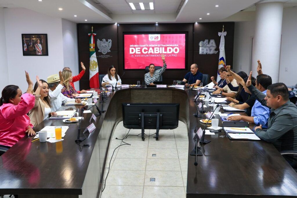 El Cabildo aprueba el nuevo ente con autonomía técnica y de gestión para profesionalizar el transporte público y sumar a concesionarios locales.