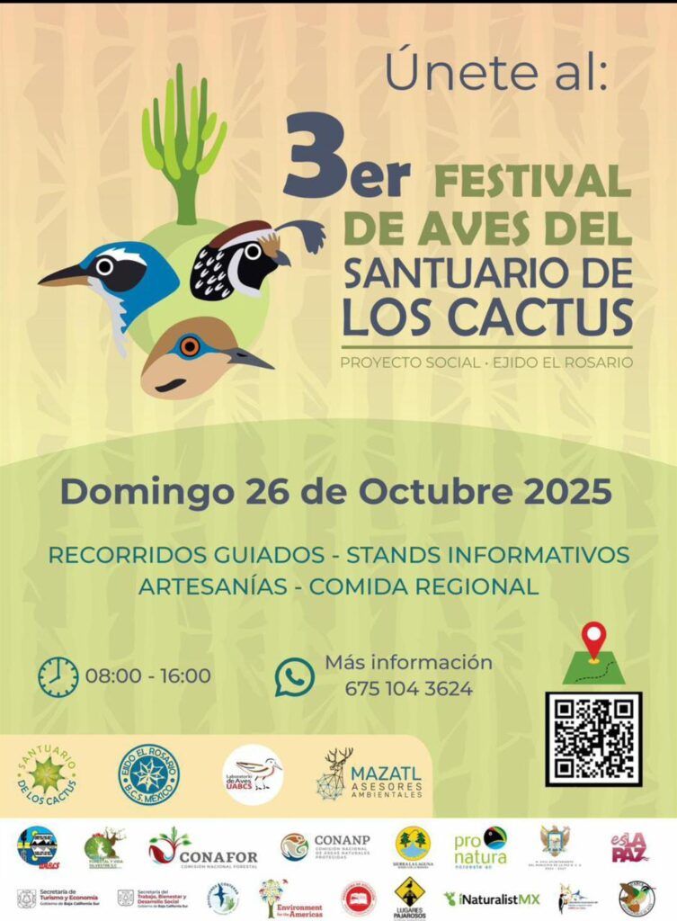 El festival promueve conservación y desarrollo sustentable con guías locales, artesanías de barro y palma y productos hechos en la región.