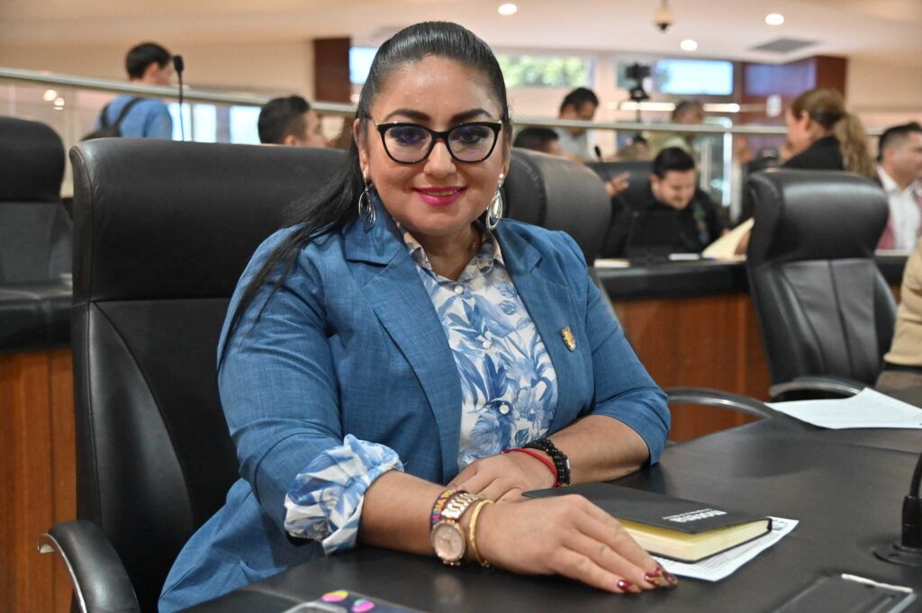 Tras recibir 46 propuestas, la diputada Dalia Verónica Collins Mendoza informó la selección de participantes de los cinco municipios, quienes sesionarán los días 2 y 3 de diciembre en el Congreso del Estado.
