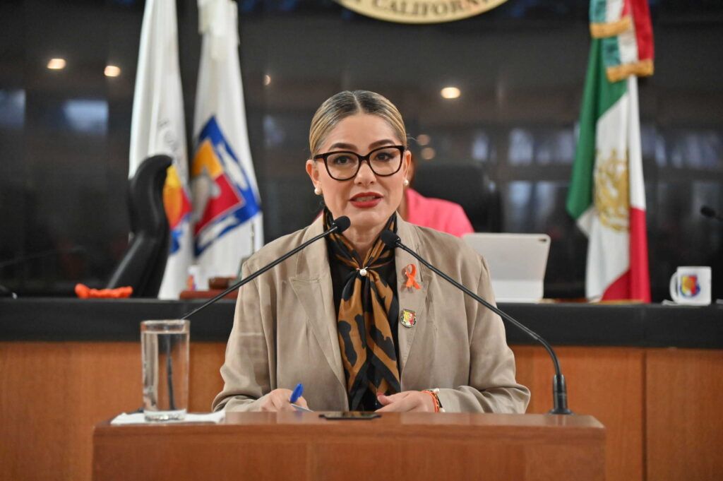 La diputada Karina Olivas Parra presentó una iniciativa para combatir la impunidad en casos de violencia familiar en Baja California Sur, al evitar que el miedo y las amenazas lleven a las víctimas a otorgar el perdón.