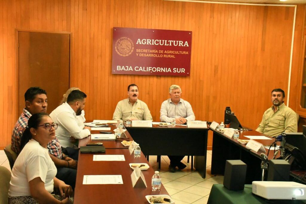 En reunión del Acuerdo Maíz-Tortilla, SEPADA y firmas como GRUMA acordarán gestionar con CFE la reducción de costos de electricidad y gas.