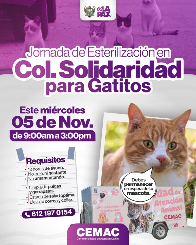 Durante noviembre habrá jornadas gratuitas de esterilización en varias colonias de La Paz. Consulta fechas y horarios