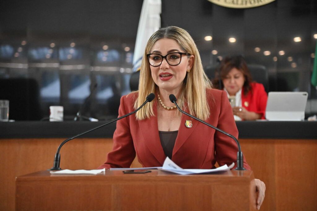 La diputada Karina Olivas planteó aumentar penas y multas por la práctica indebida del servicio médico en cirugías estéticas a menores.