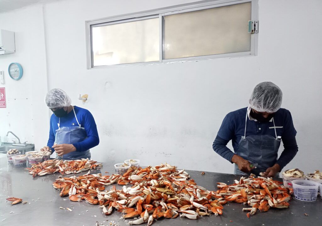 El programa implementado desde 2021 consolida información clave para el aprovechamiento responsable de los recursos marinos.