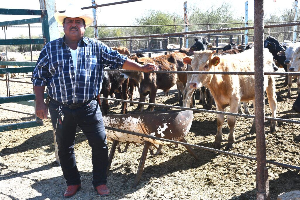SEPADA reconoce al Congreso por hacer permanentes dos apoyos clave para proteger a productores y evitar pérdidas de ganado en Baja California Sur.