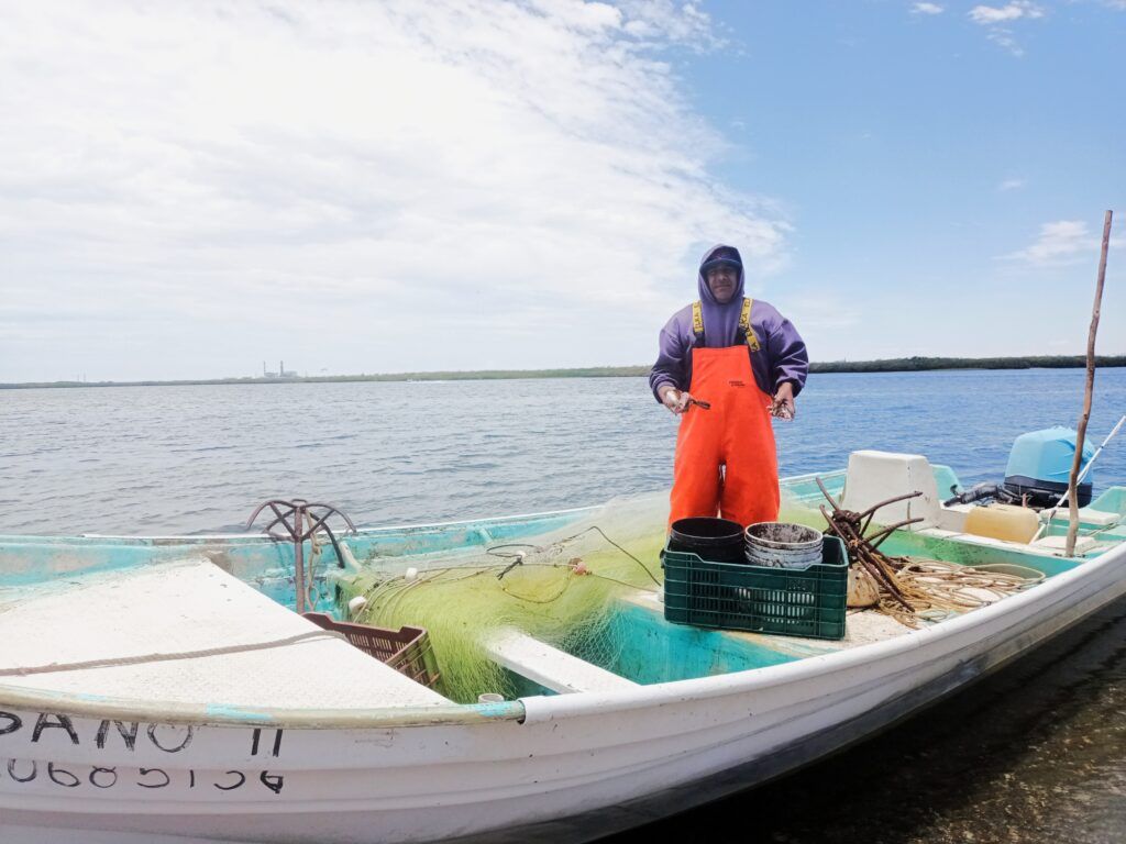 Más de 900 proyectos han recibido apoyos en equipo, pangas, fábricas de hielo, sistemas fotovoltaicos, semilla de ostión y capacitación especializada.