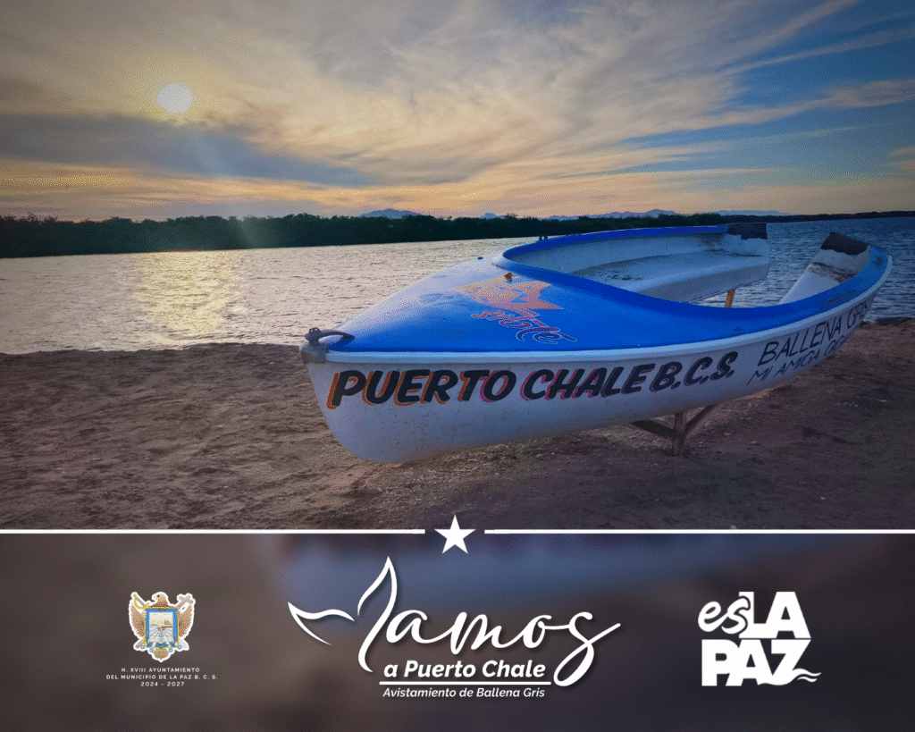 La comunidad de Puerto Chale refuerza su identidad local y el valor de la ballena gris como atractivo turístico y natural de la región.