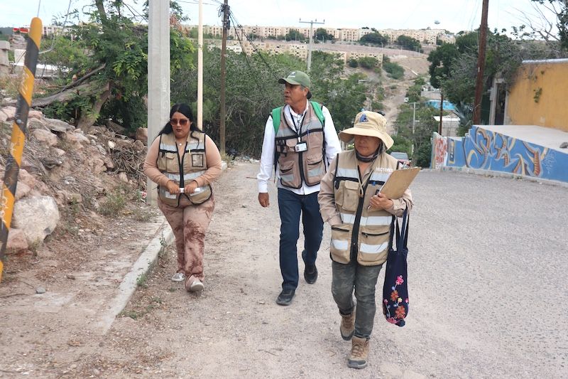 Brigadas iniciaron recorridos desde la primera semana de enero en colonias detectadas por ovitrampas; colocan larvicida y orientan a familias