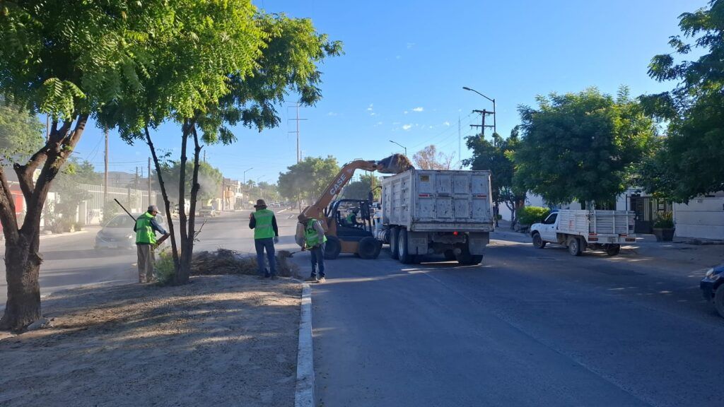 Maquinaria pesada apoyó el retiro de residuos, ramas, tierra y desechos en espacios públicos durante el segundo semestre de 2025.