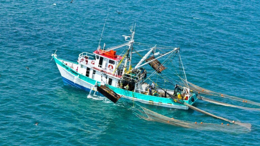 Especialistas advierten que la falta de información verificable y de sistemas de monitoreo robustos provocó el embargo de Estados Unidos a 21 pesquerías mexicanas bajo la Ley de Protección de Mamíferos Marinos.