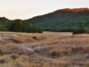 Abren consultas por dos proyectos en Sierra de la Laguna