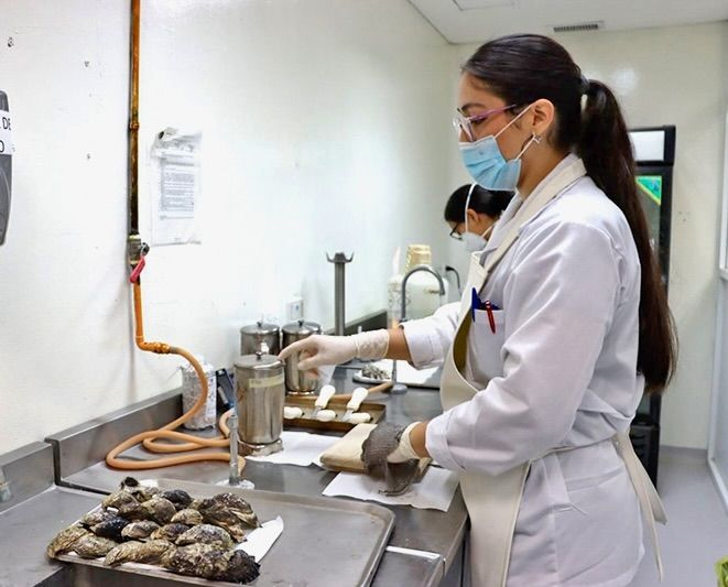 Los muestreos del Programa Mexicano de Sanidad de Moluscos Bivalvos permiten identificar microorganismos o toxinas y sostener autorizaciones sanitarias para venta y exportación