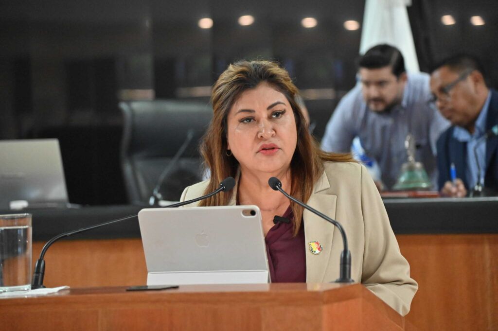 Proponen descacharrización y mejora en recolección para frenar el problema