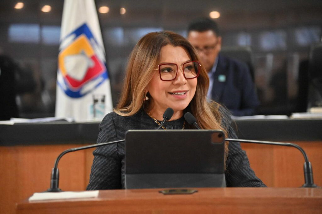 Legisladores advierten que beneficios económicos no justifican riesgos ambientales