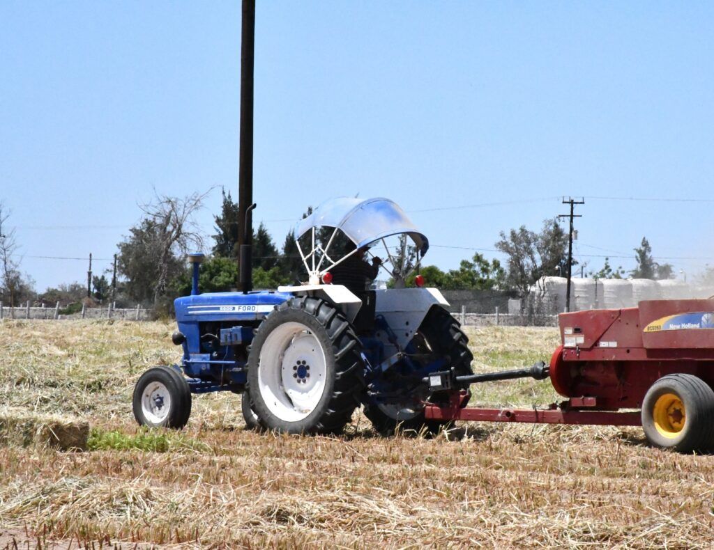En el vivero del Valle de Santo Domingo se prepara la siembra de maíz y sorgo forrajero para fortalecer la alimentación del ganado en zonas rurales.