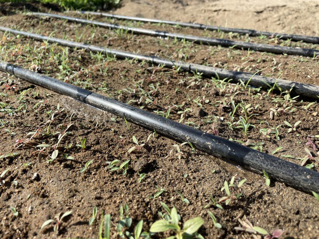 Estrategia busca garantizar disponibilidad de agua y fortalecer la producción agrícola