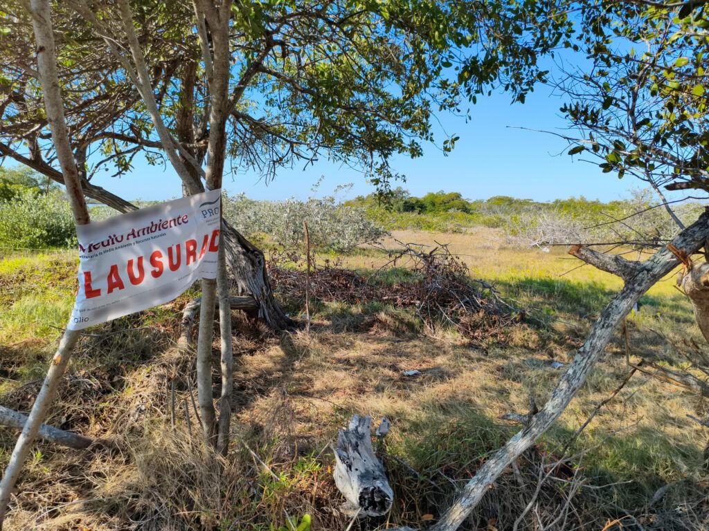 Comunidades denuncian reincidencia en Chelem mientras mujeres restauran ecosistemas clave para enfrentar el cambio climático