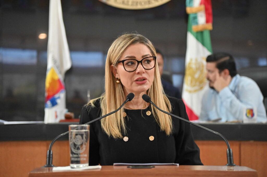 Legisladores destacan necesidad de coordinación, recursos y eficacia en la aplicación de la ley