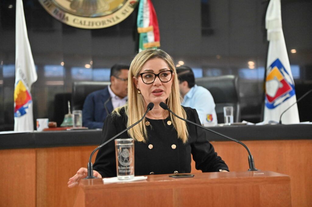 Iniciativa busca garantizar asesoría gratuita y acceso a la justicia en materia electoral