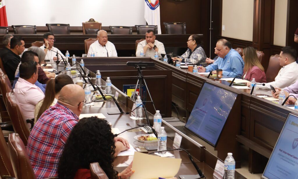 Consejos municipales avanzan en cobertura y coordinación para atender problemáticas locales