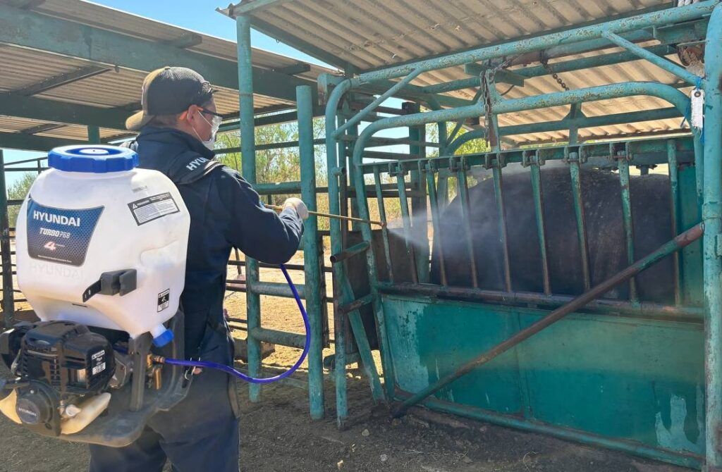 Los recursos se aplicarán en inspección, vigilancia epidemiológica y capacitación.