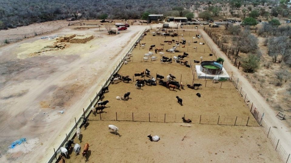 Gobierno estatal atiende demandas del sector primario ante efectos de la sequía