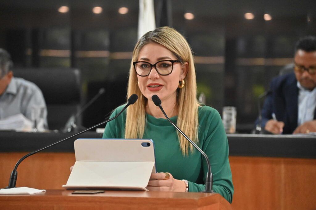 Iniciativa pretende cerrar vacíos legales ante nuevas amenazas tecnológicas