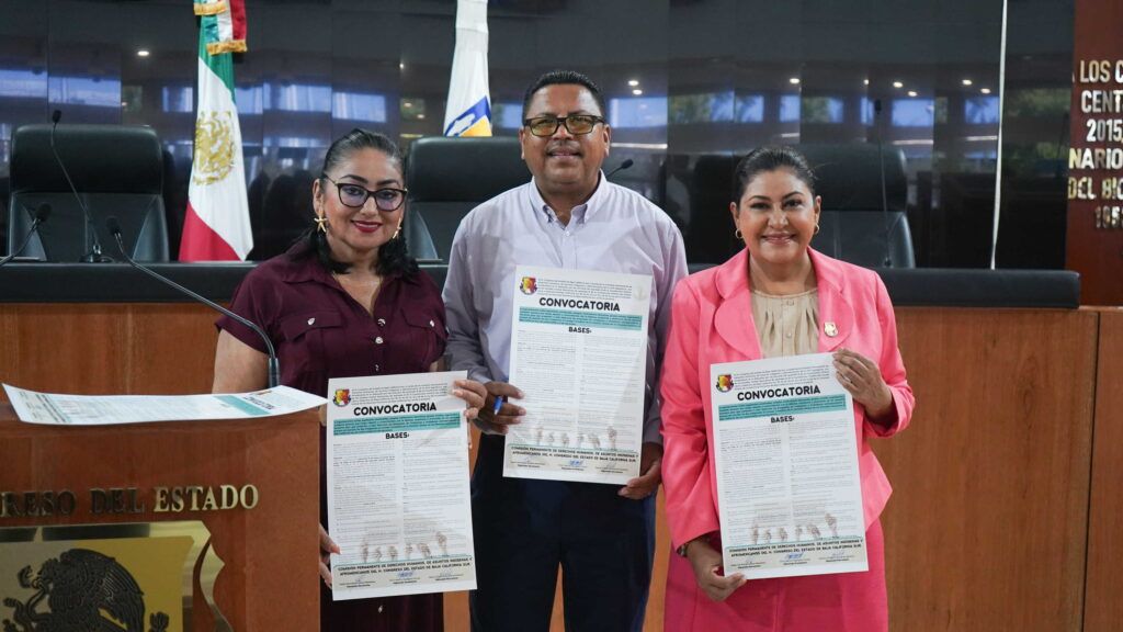 Organizaciones civiles y ciudadanía podrán proponer perfiles para integrar la CEDH estatal
