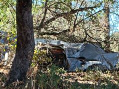 Presentarán denuncia penal por presuntos delitos ambientales en Sierra La Laguna