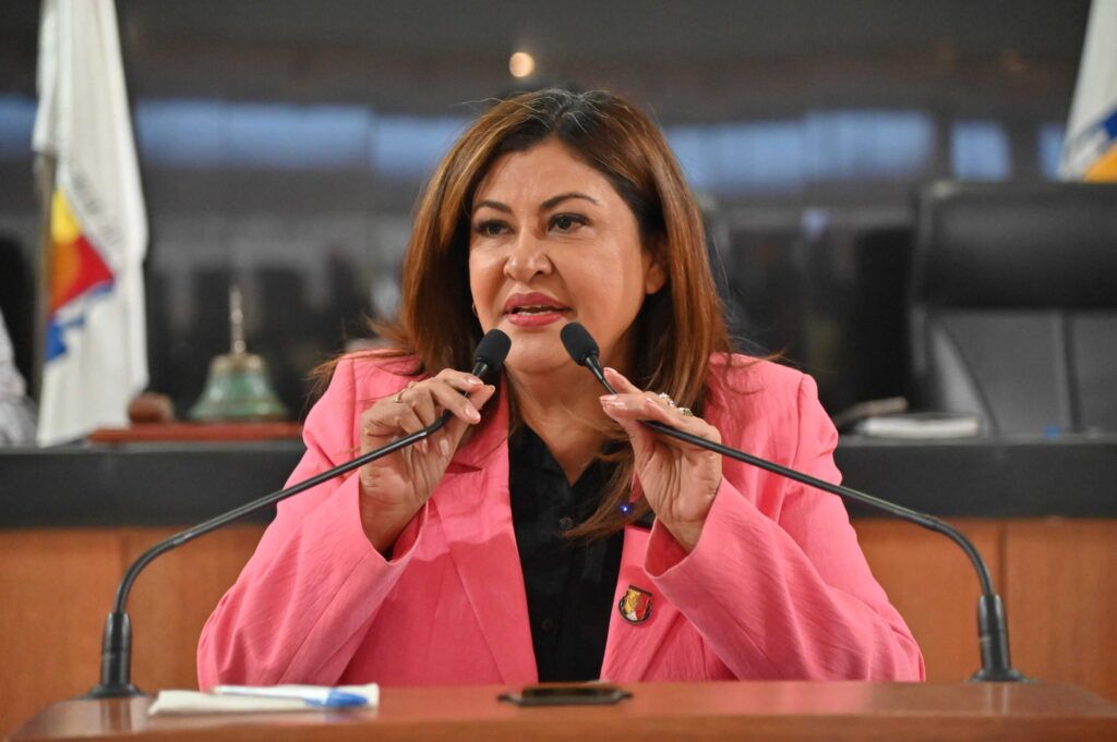 Iniciativa presentada en el Congreso busca reforzar la atención temprana y la protección de estudiantes.
