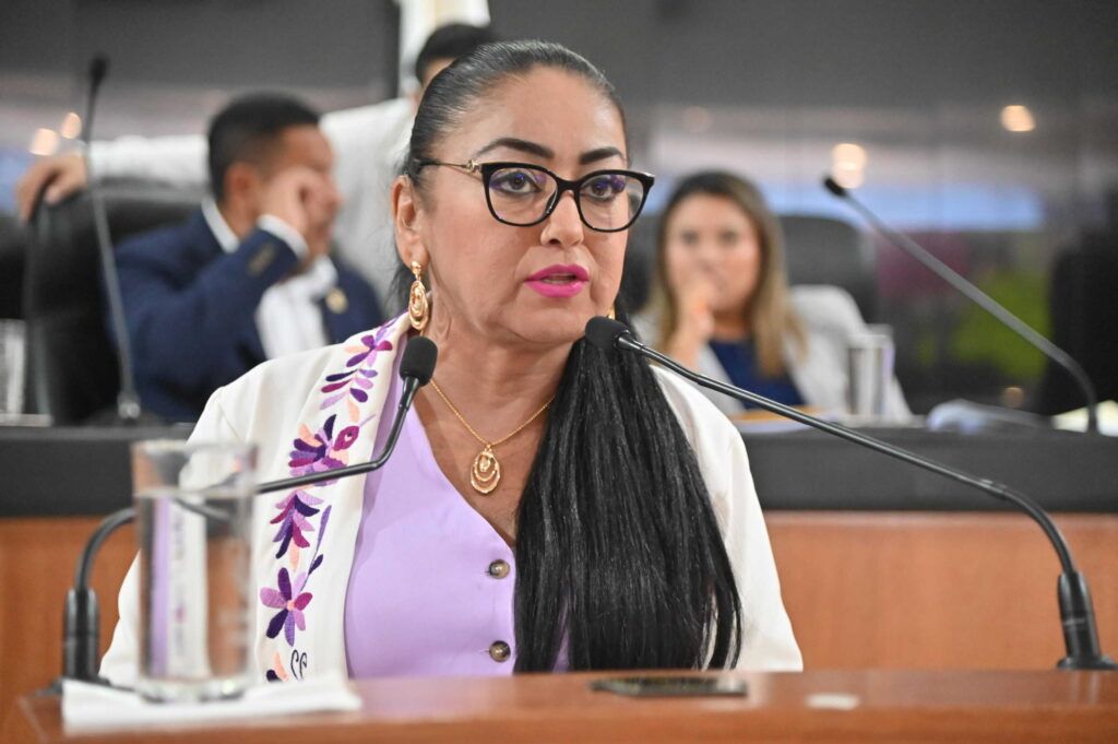 La diputada Dalia Collins planteó que las acciones afirmativas se construyan con la participación directa de los sectores involucrados.